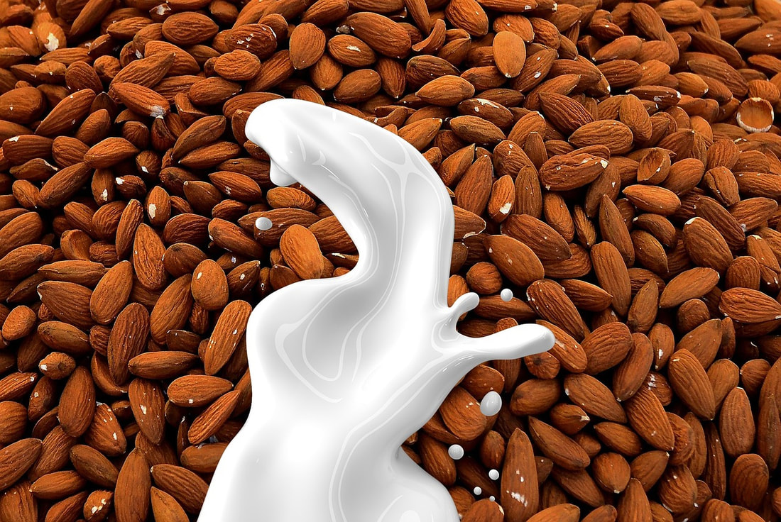 almond milk protein