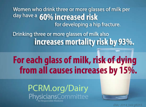 dairy statistics